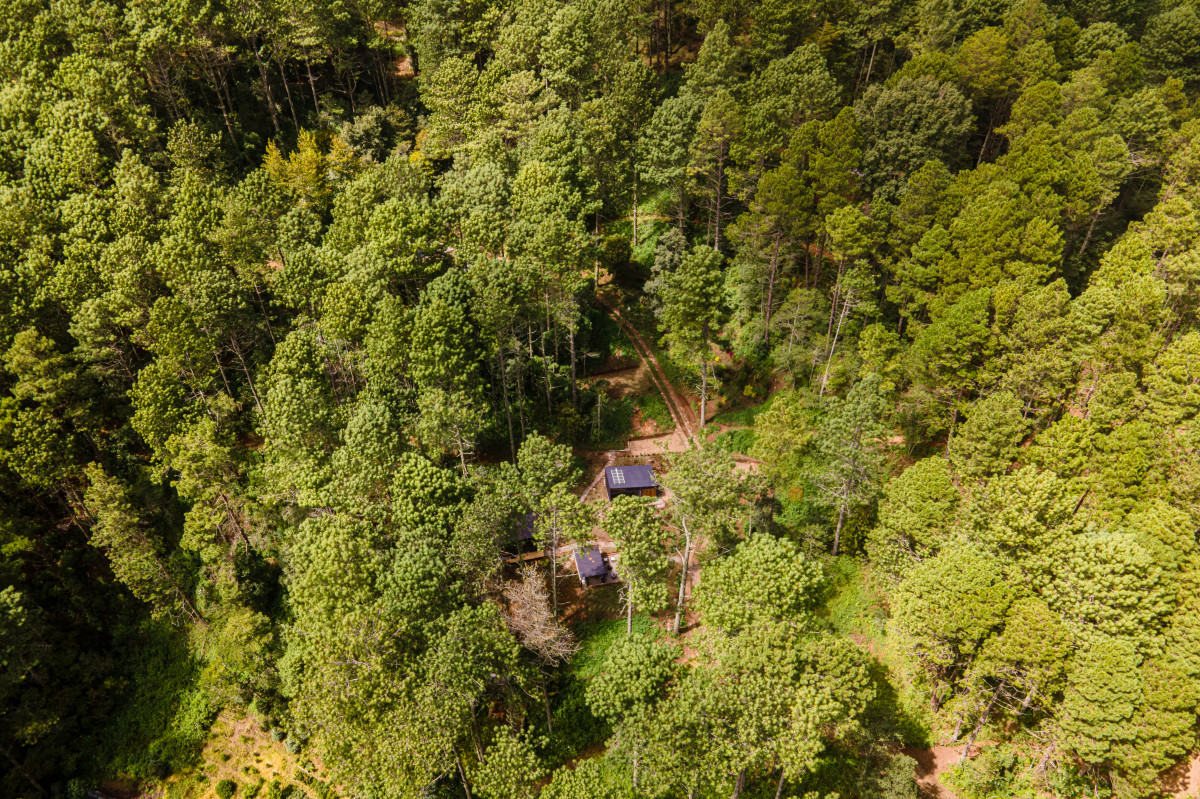 Experiencias en montaña